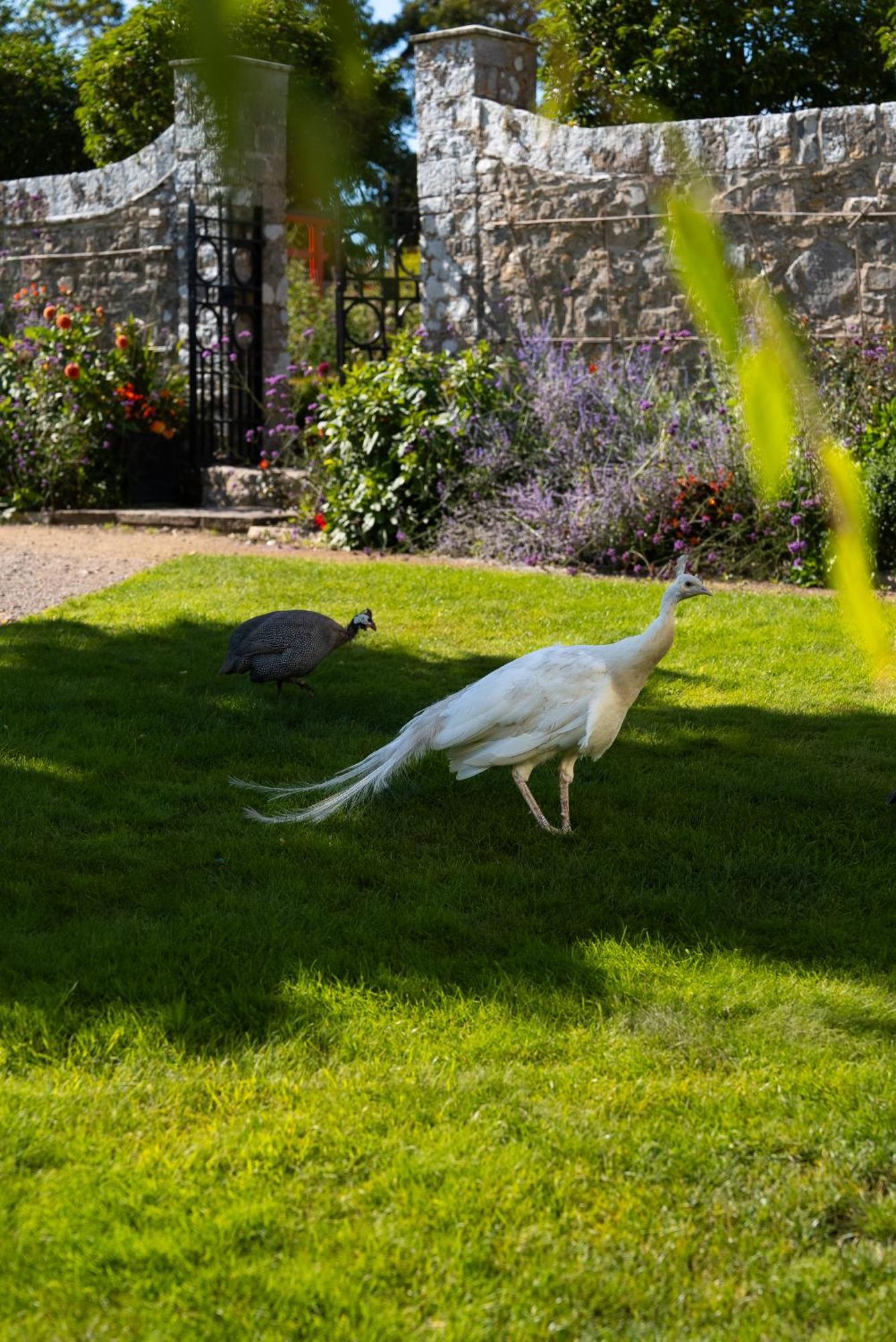 Gileston Manor Luxury B&B Barry Exterior foto